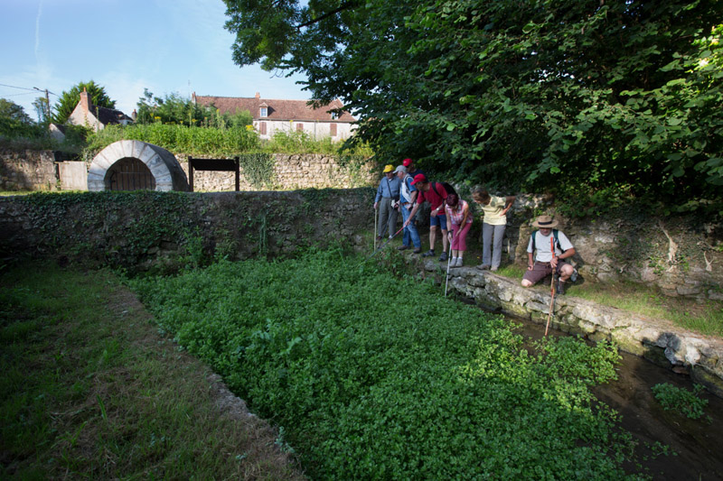 Balade à pied n°55 - La fontaine de Saint-Aigny, Saint-Aigny - photo 6