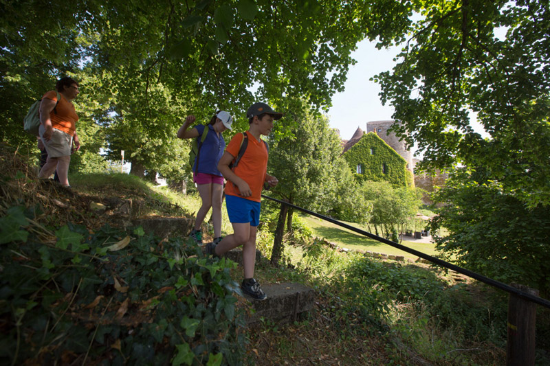 Balade à pied n°30 - Par les sentiers boisés, Ingrandes - photo 2