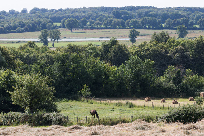 Balade à pied n°36 - La balade du colombier, Lureuil - photo 6