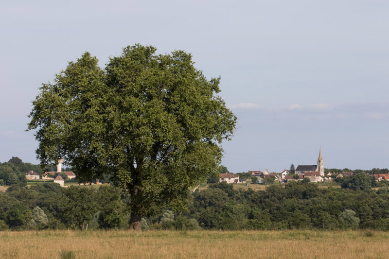 Balade à pied n°36 - La balade du colombier, Lureuil - photo 3