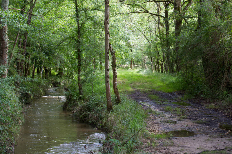 Balade à pied n°40 - Histoire de Brenne, Méobecq - photo 3
