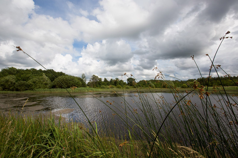 Balade à pied n°40 - Histoire de Brenne, Méobecq