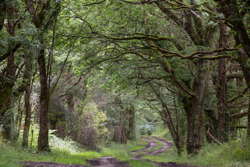 Balade à pied n°40 - Histoire de Brenne, Méobecq - photo 2