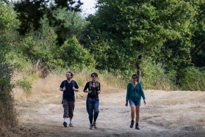 Balade à pied n°7 - Étangs, forêts et buttons, Méobecq - photo 3