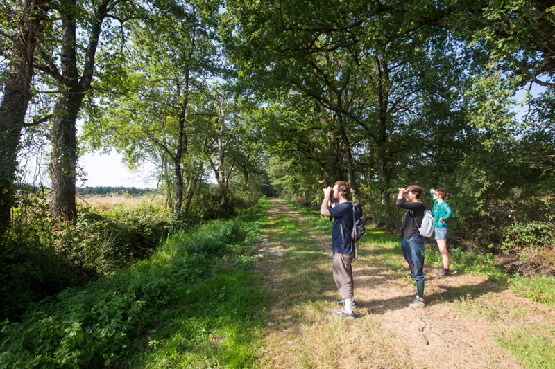 Balade à pied n°7 - Étangs, forêts et buttons, Méobecq - photo 4