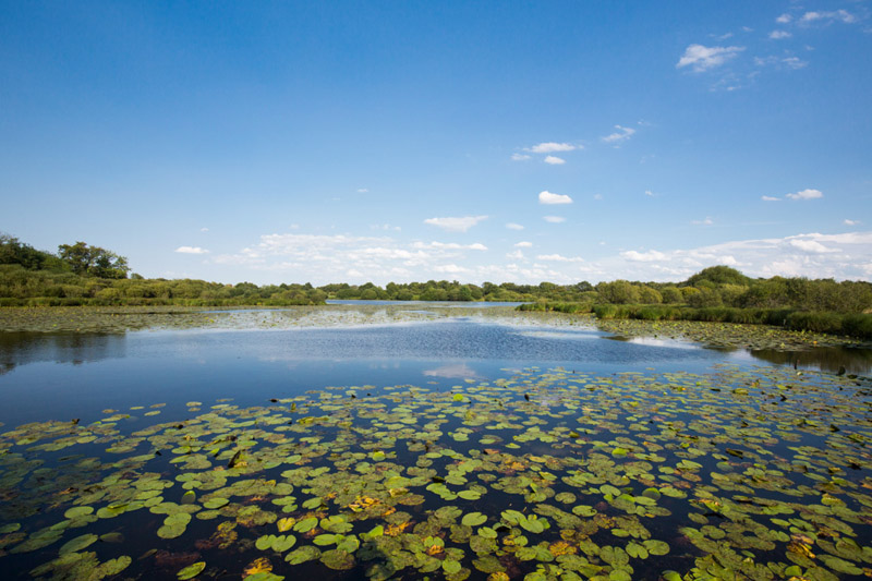 Balade à pied n°7 - Étangs, forêts et buttons, Méobecq - photo 6