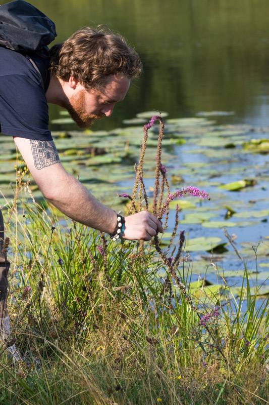 Balade à pied n°7 - Étangs, forêts et buttons, Méobecq - photo 2