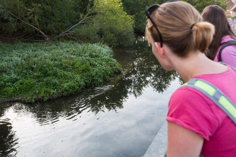 Randonnée en itinérance - itinénance en Petite Brenne, Bélâbre
