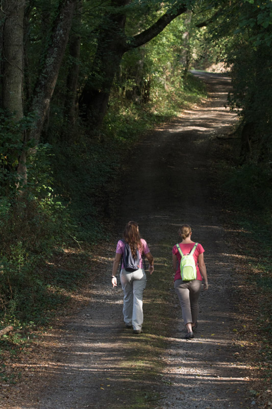Balade à pied n°19 - L'eau, la terre, l'air, le feu, Bélâbre - photo 6