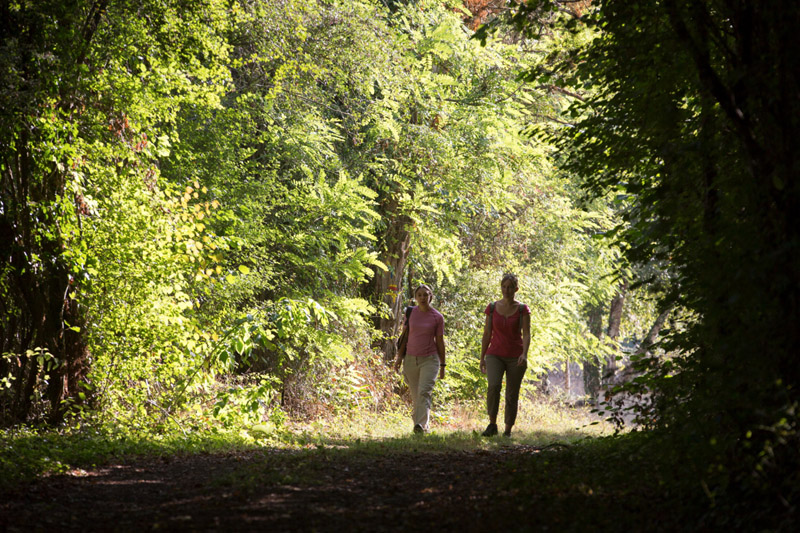 Balade à pied n°22 - Les bords de l'Anglin, Bélâbre - photo 6