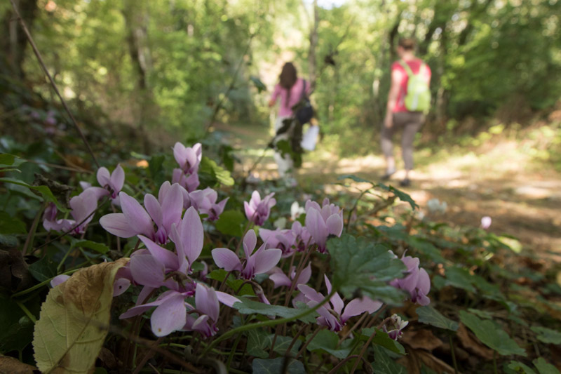 Balade à pied n°22 - Les bords de l'Anglin, Bélâbre - photo 4