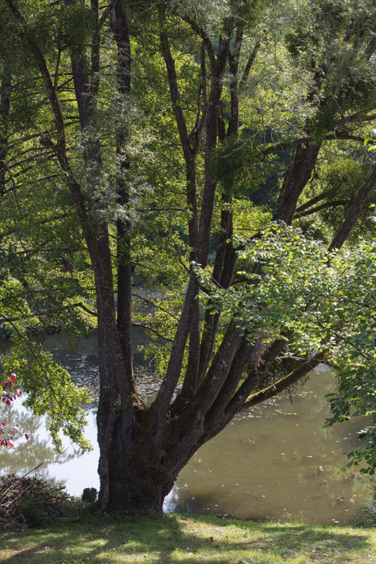 Balade à pied n°22 - Les bords de l'Anglin, Bélâbre - photo 2