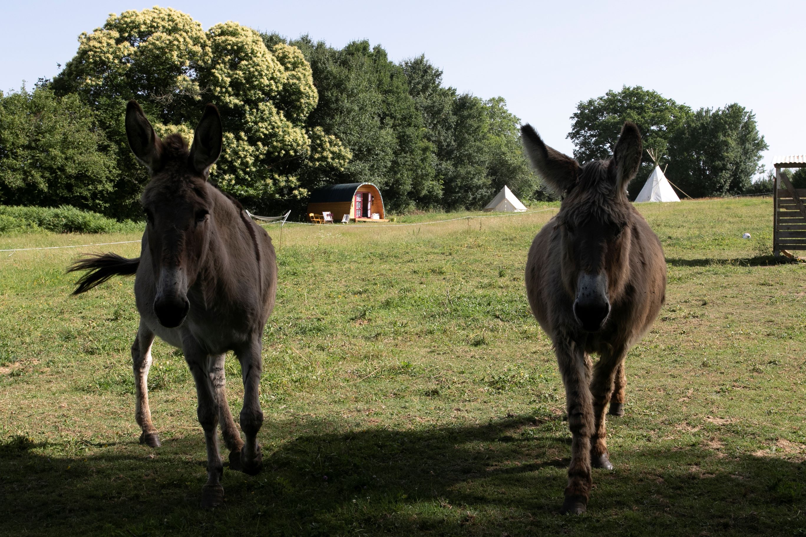 Camping et Parc  Résidentiel de Loisir  RESSOURCE-HERAT, Vigoulant - photo 9
