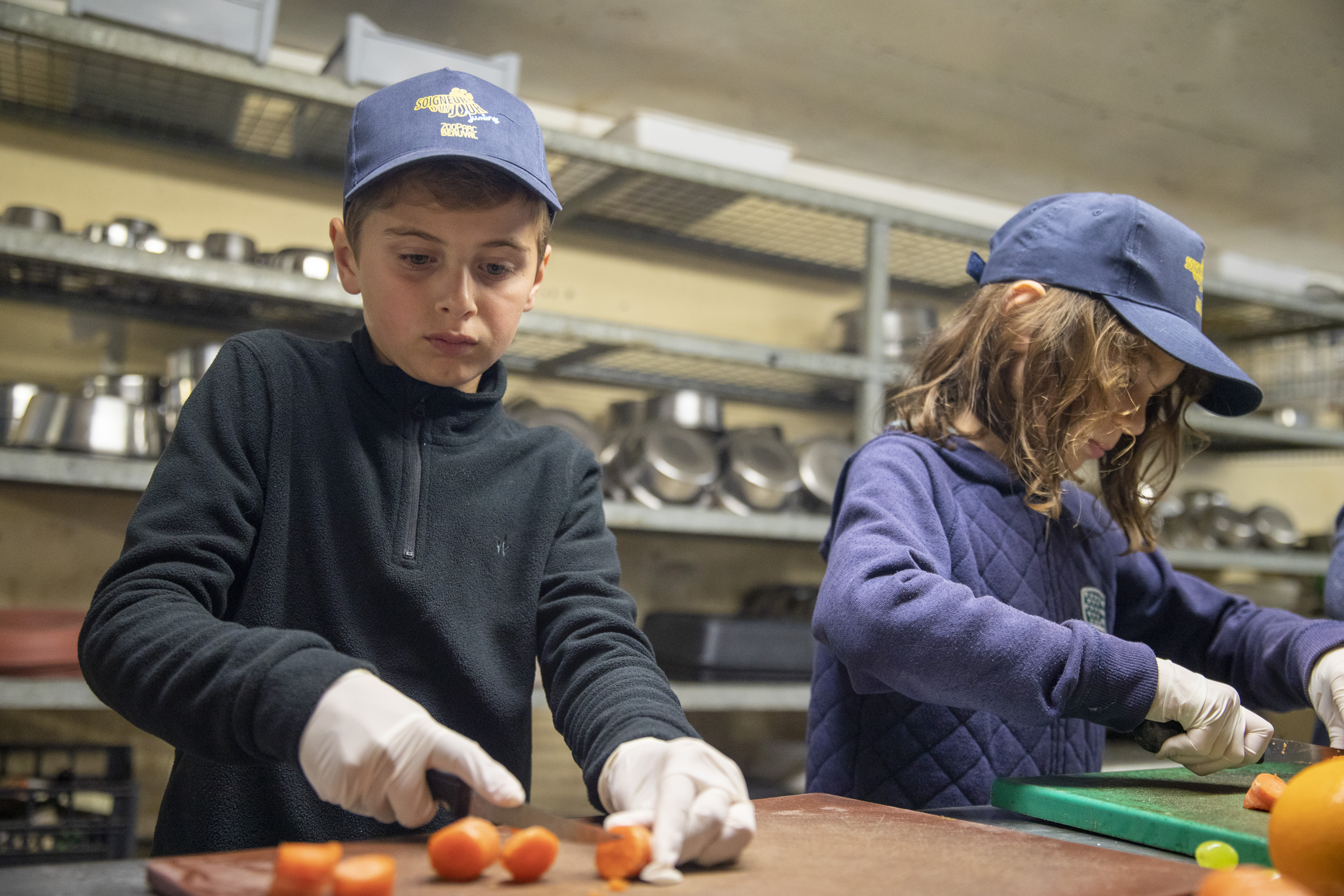 Atelier soigneur d'un jour junior au zooparc de beauval — photo 3