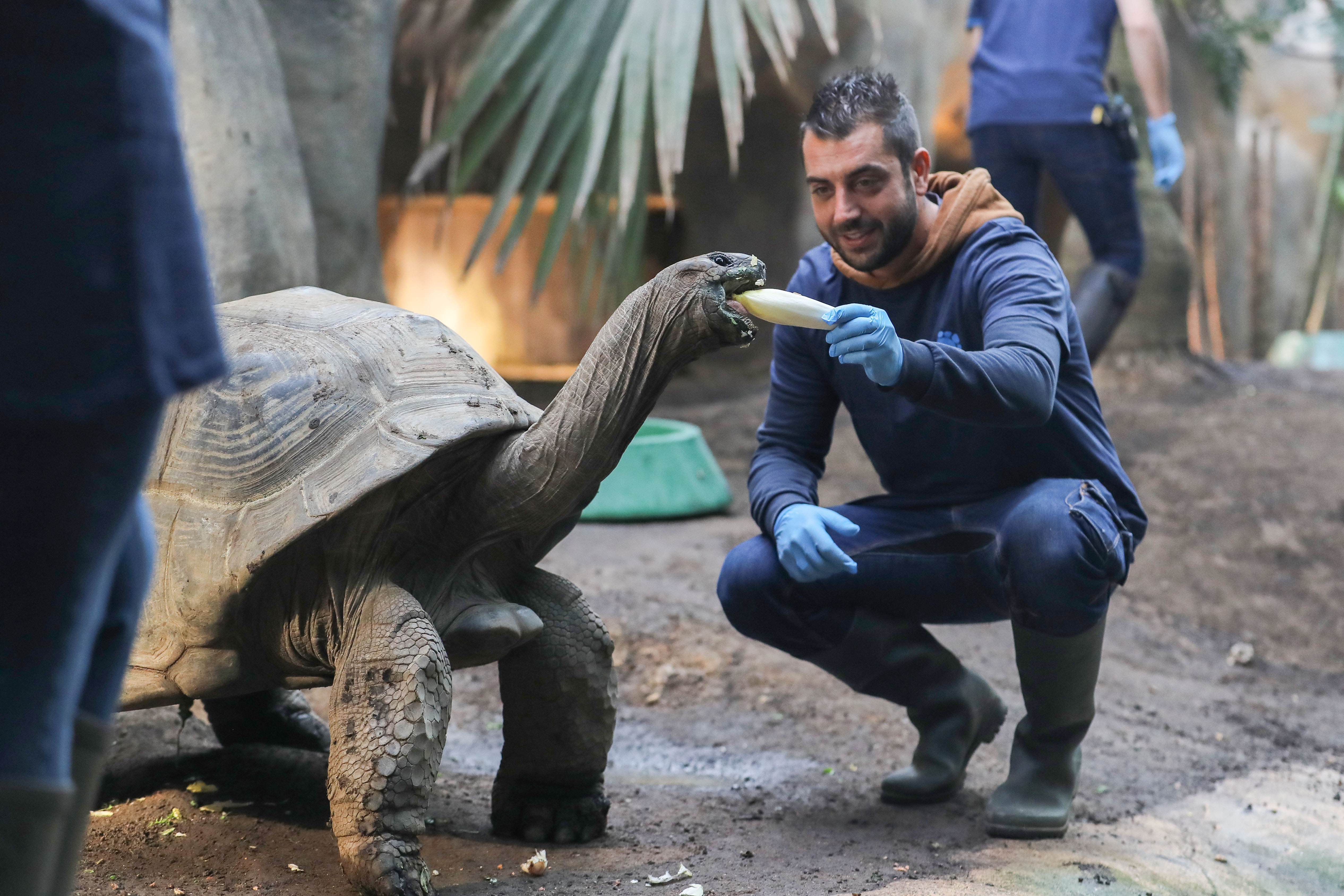 Atelier soigneur d'un jour au zooparc de beauval — photo 2