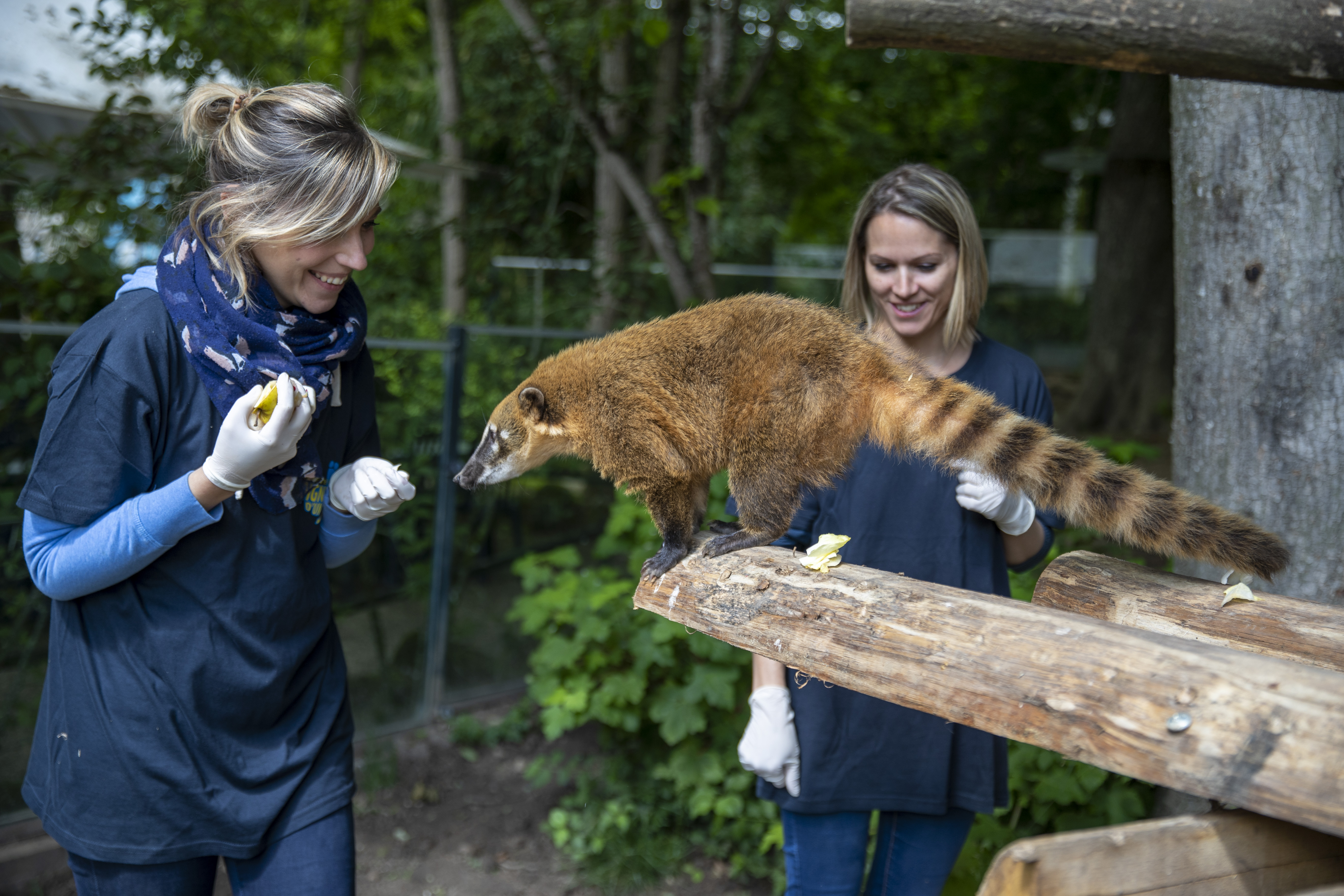 Atelier soigneur d'un jour au zooparc de beauval — photo 3