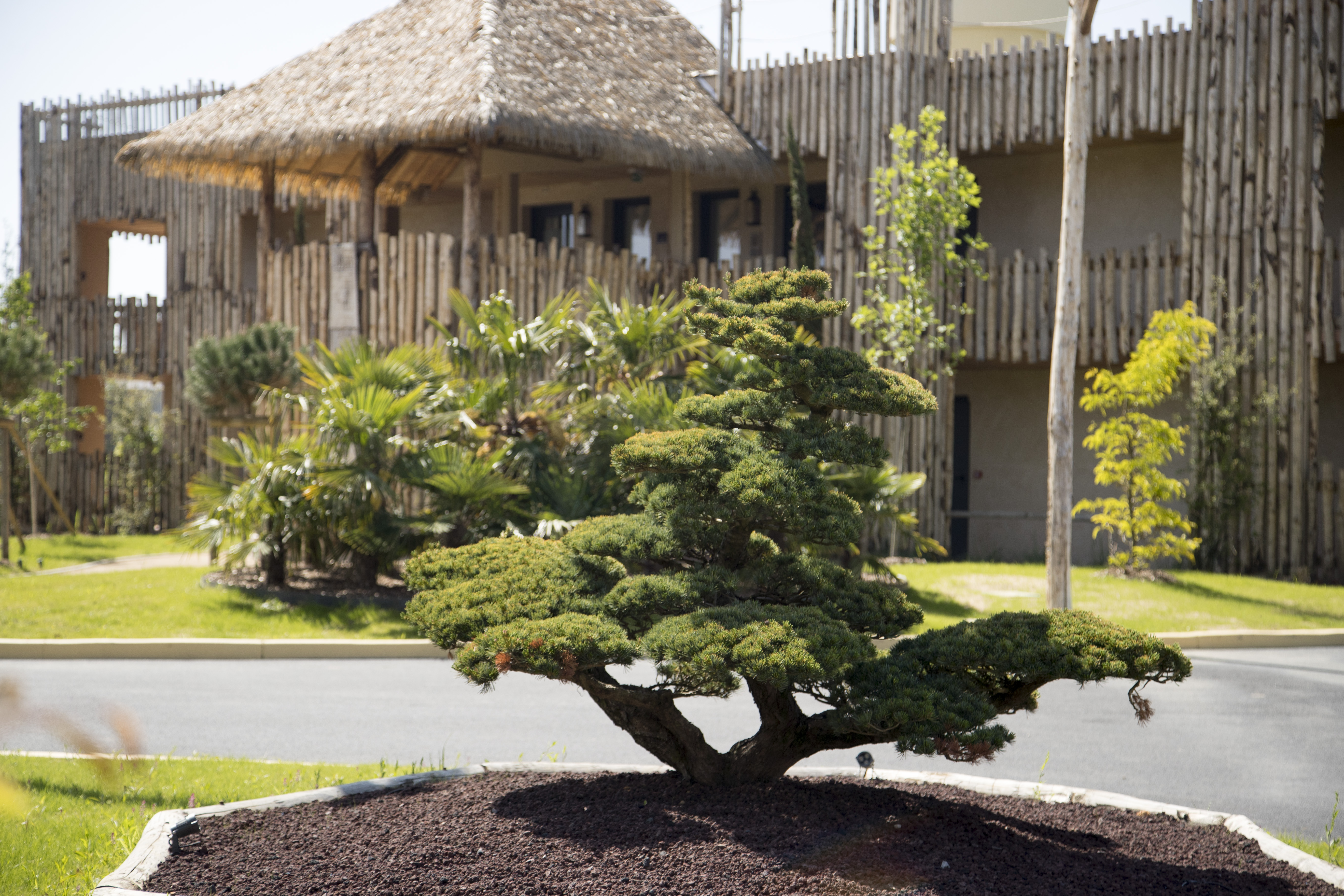 Les hauts de beauval, Saint-Aignan - photo 12