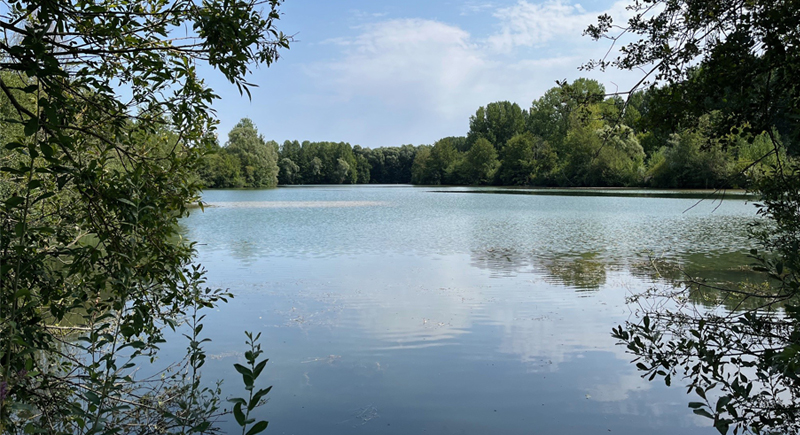 Découverte des plans d’eau avec l’association Les Corbeaux Gâtinais Nature — visuel événement