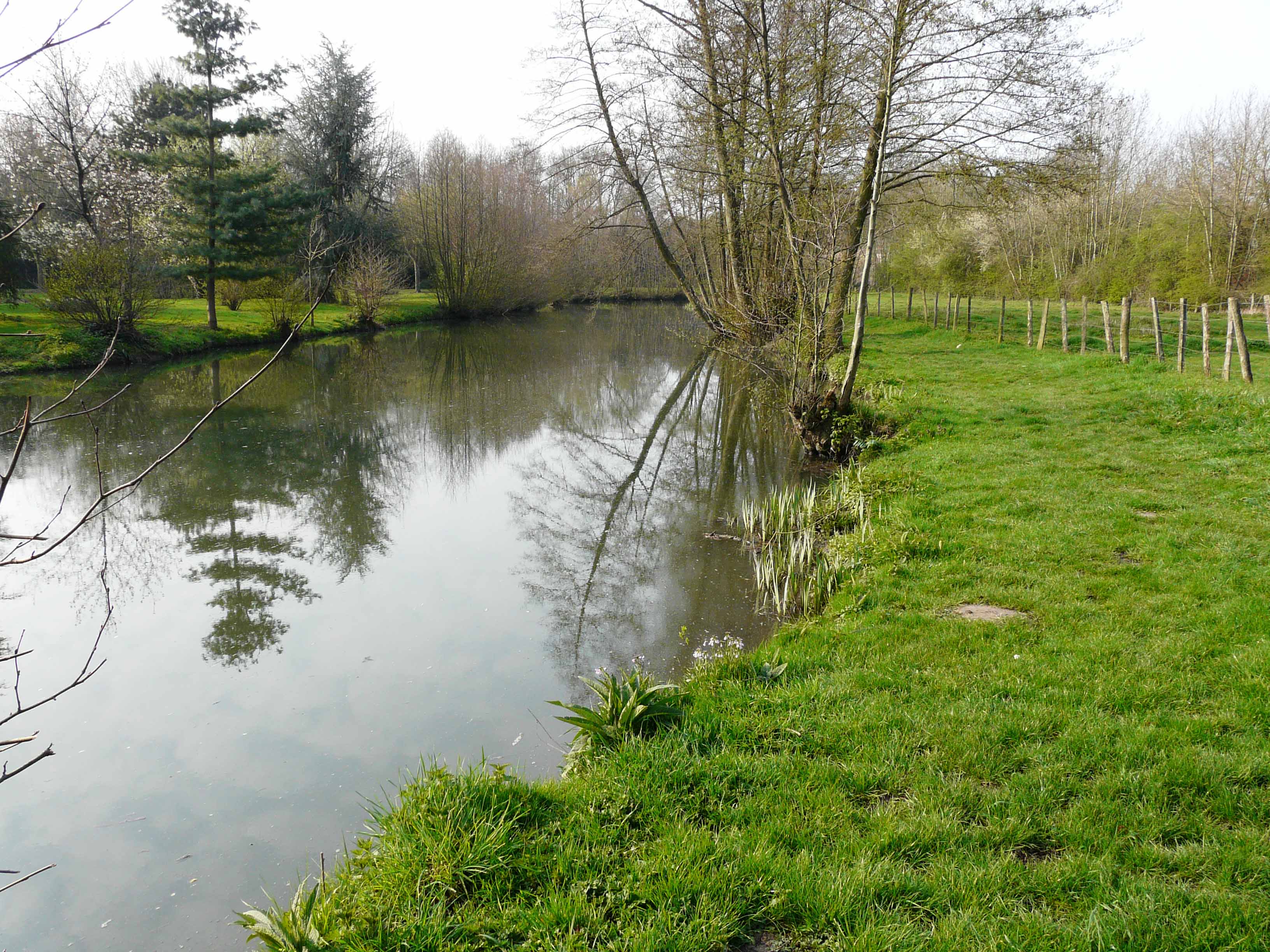 Plans d'eau de Brou et rivière Ozanne - Sites de pêche labellisés - parcours famille