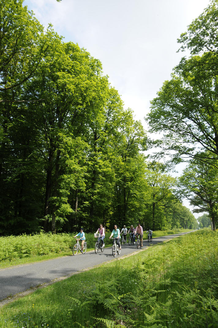 Point de location vélos "Senonches"