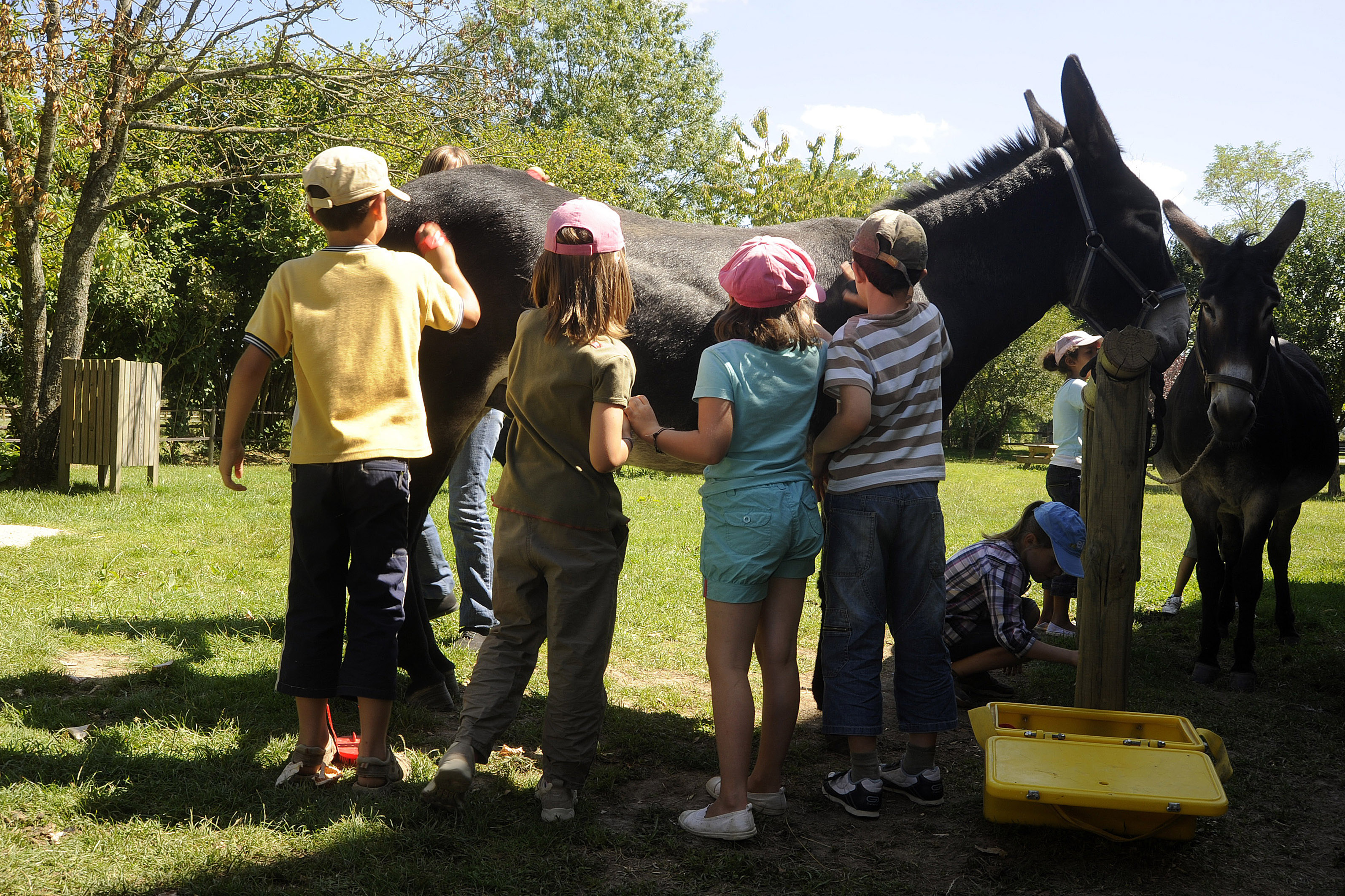 Atelier soigneur en herbe - photo 3