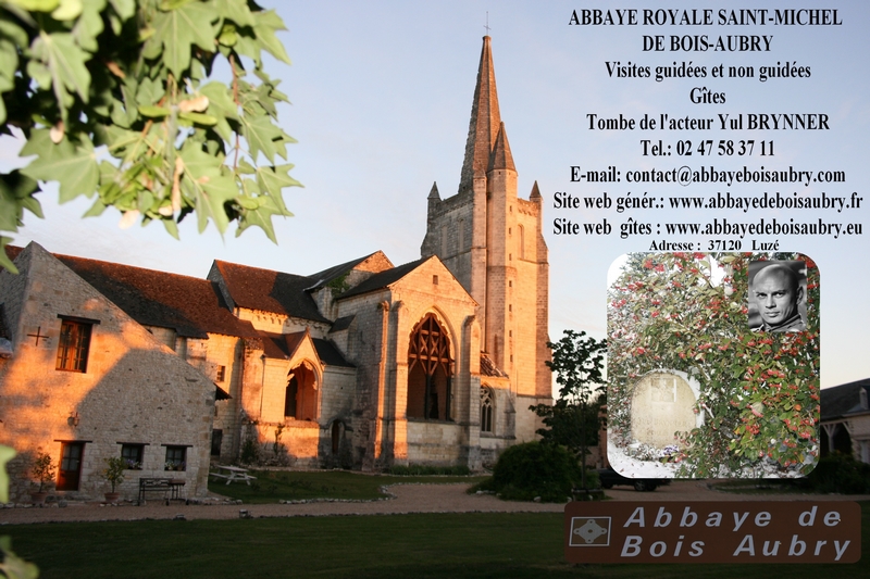 Abbaye Royale Saint-Michel de Bois-Aubry, Luzé - photo 5