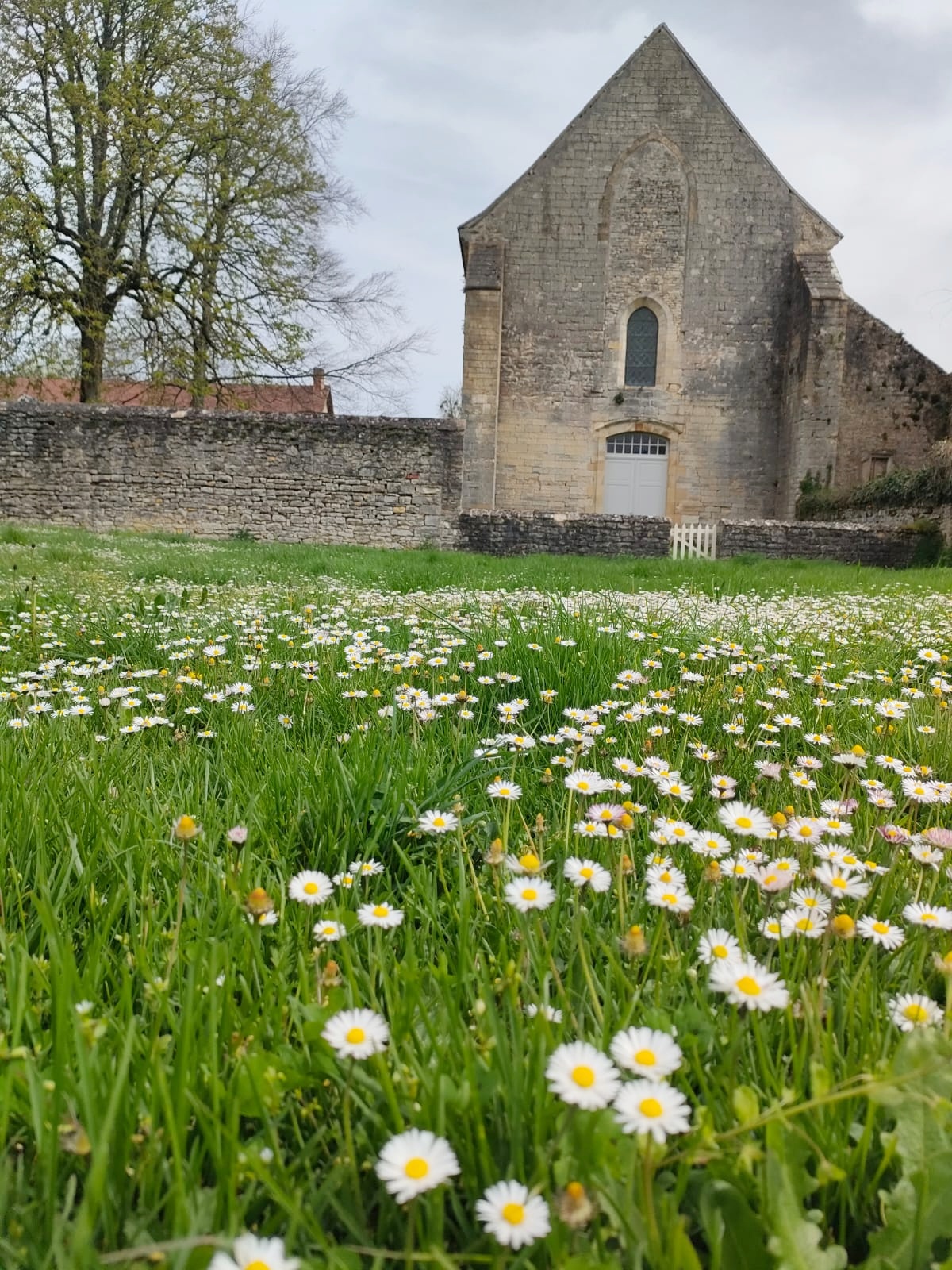 Circuit pédestre n° 112 "Sous le regard de Jenny de Vasson"