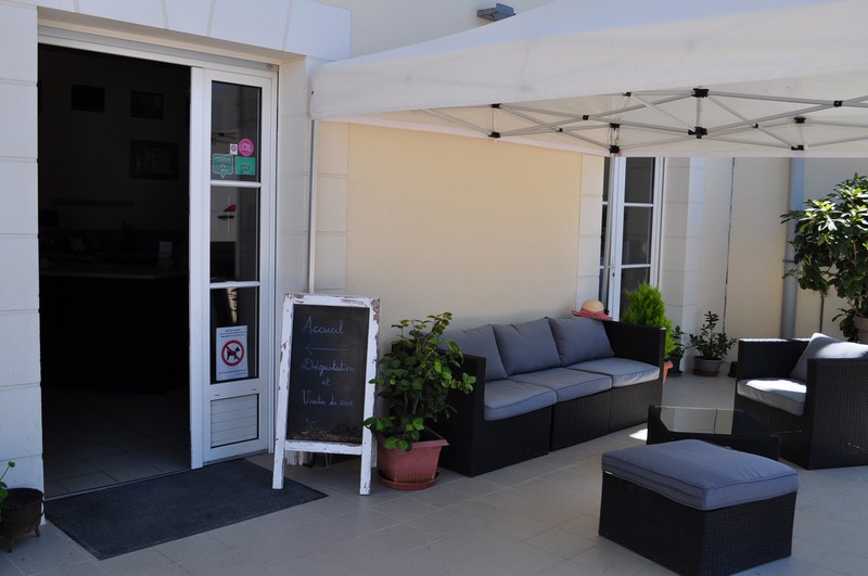 Aire d'accueil au Vignoble Alain Robert, Chançay - photo 3