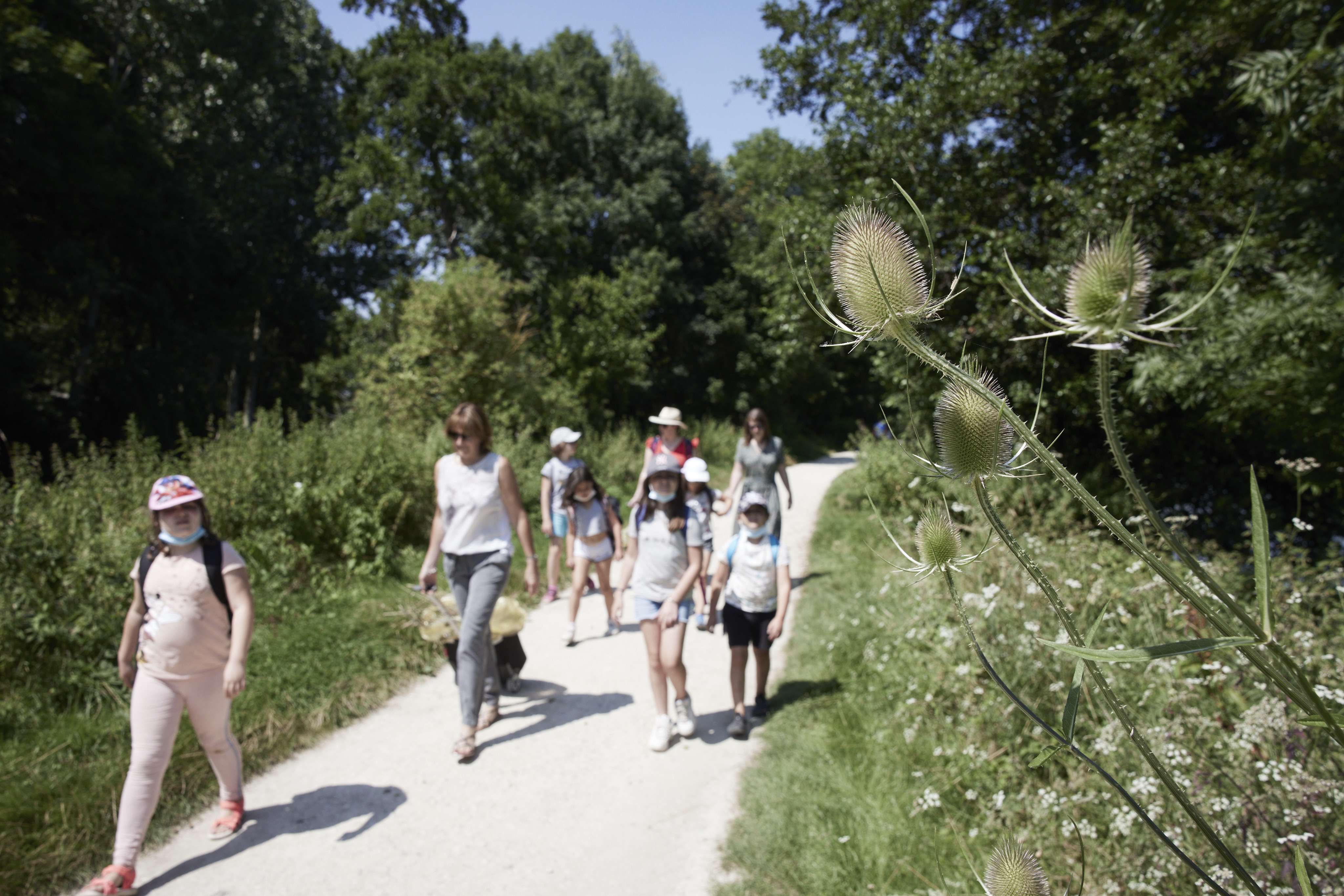 Plan d'eau de Mézières Ecluzelles