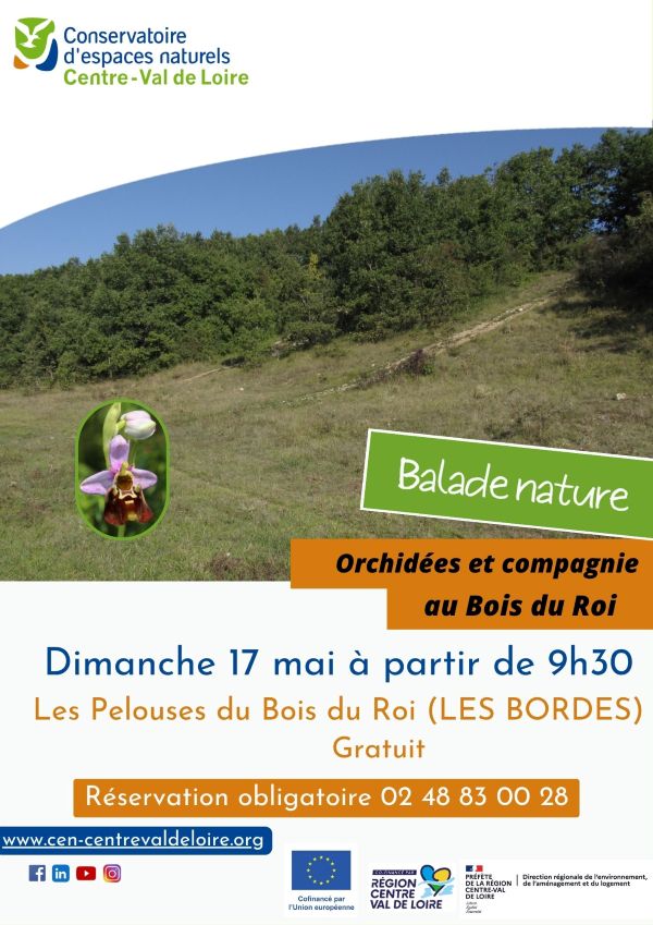 Orchidées et compagnie