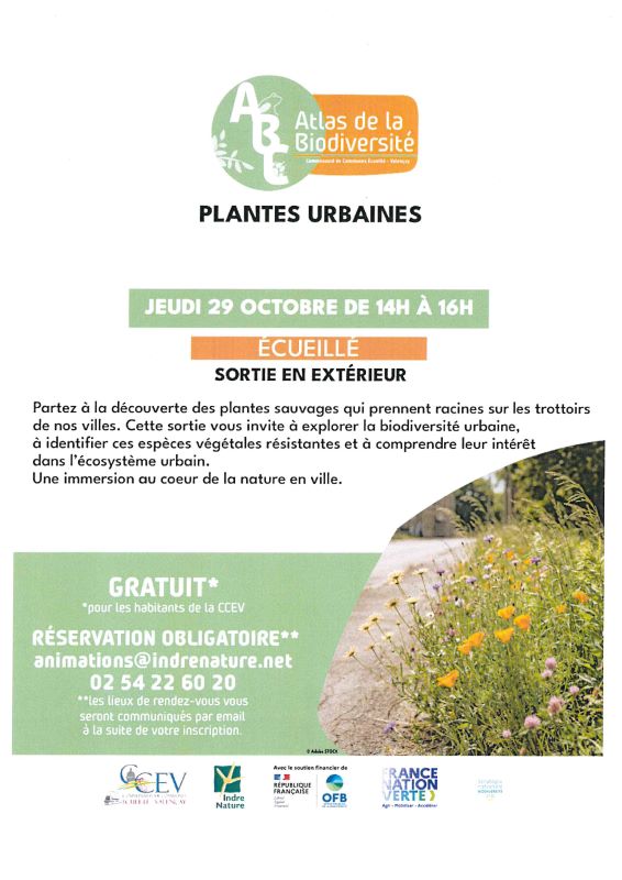 Sortie nature : plantes urbaines
