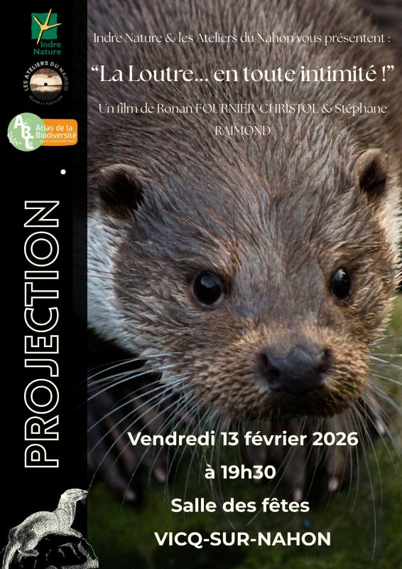 Projection du film "La loutre en toute intimité"