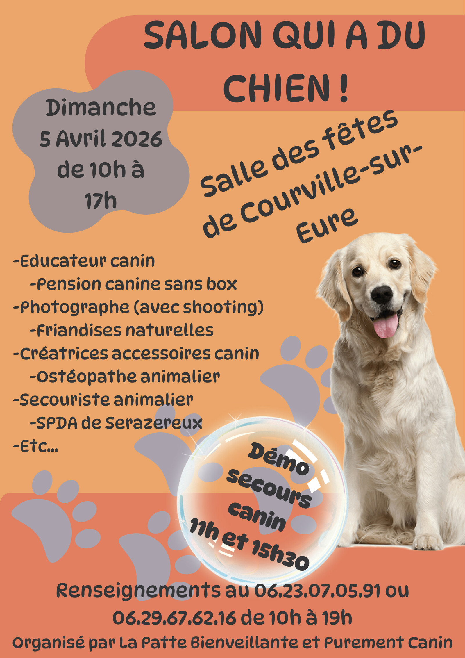 Salon qui a du chien
