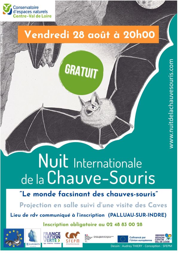 Le monde fascinant des chauves-souris