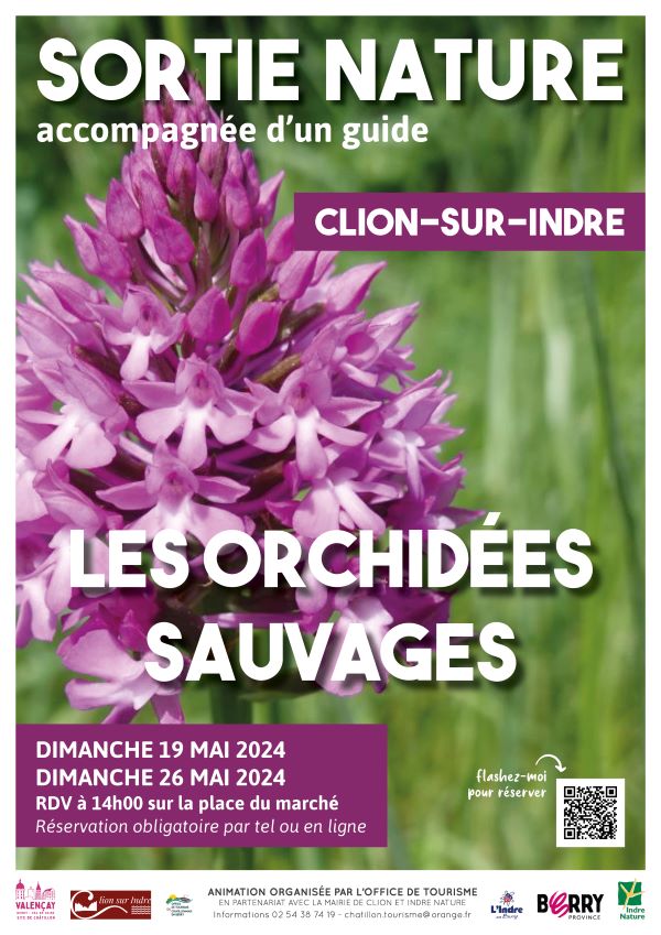 Sortie nature : orchidées sauvages du Boischaut Nord null France null null null null