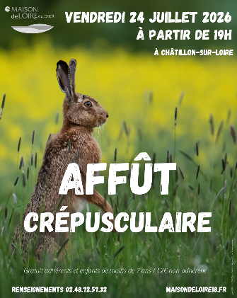 Sortie "Affût crépusculaire"