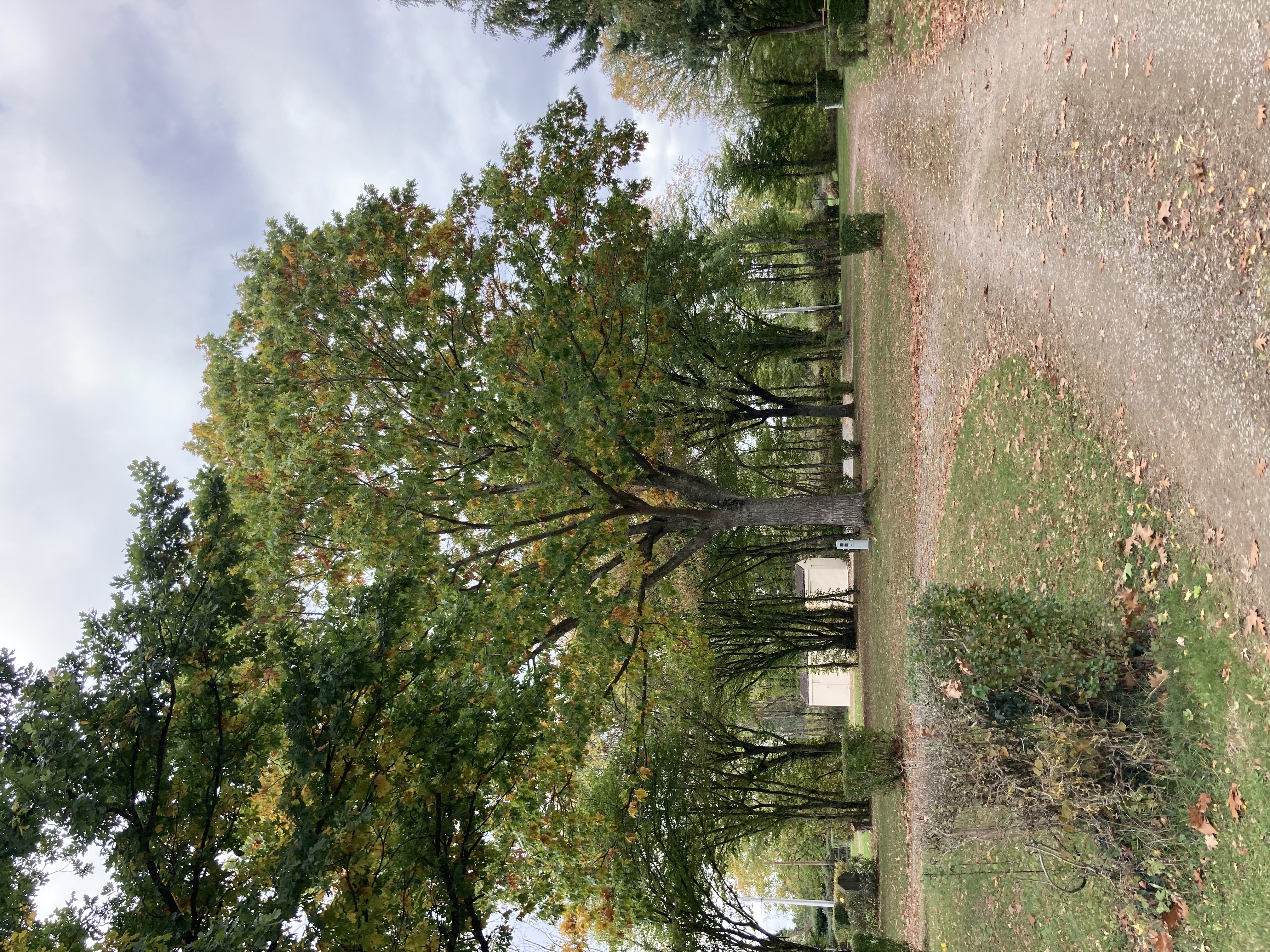 Aire de camping-car de Lignières