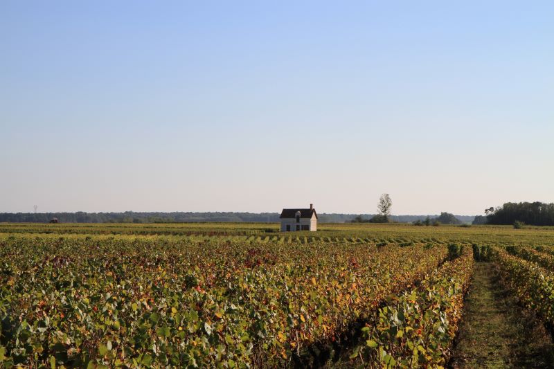 Aire de camping-cars (Vignobles Jourdain)