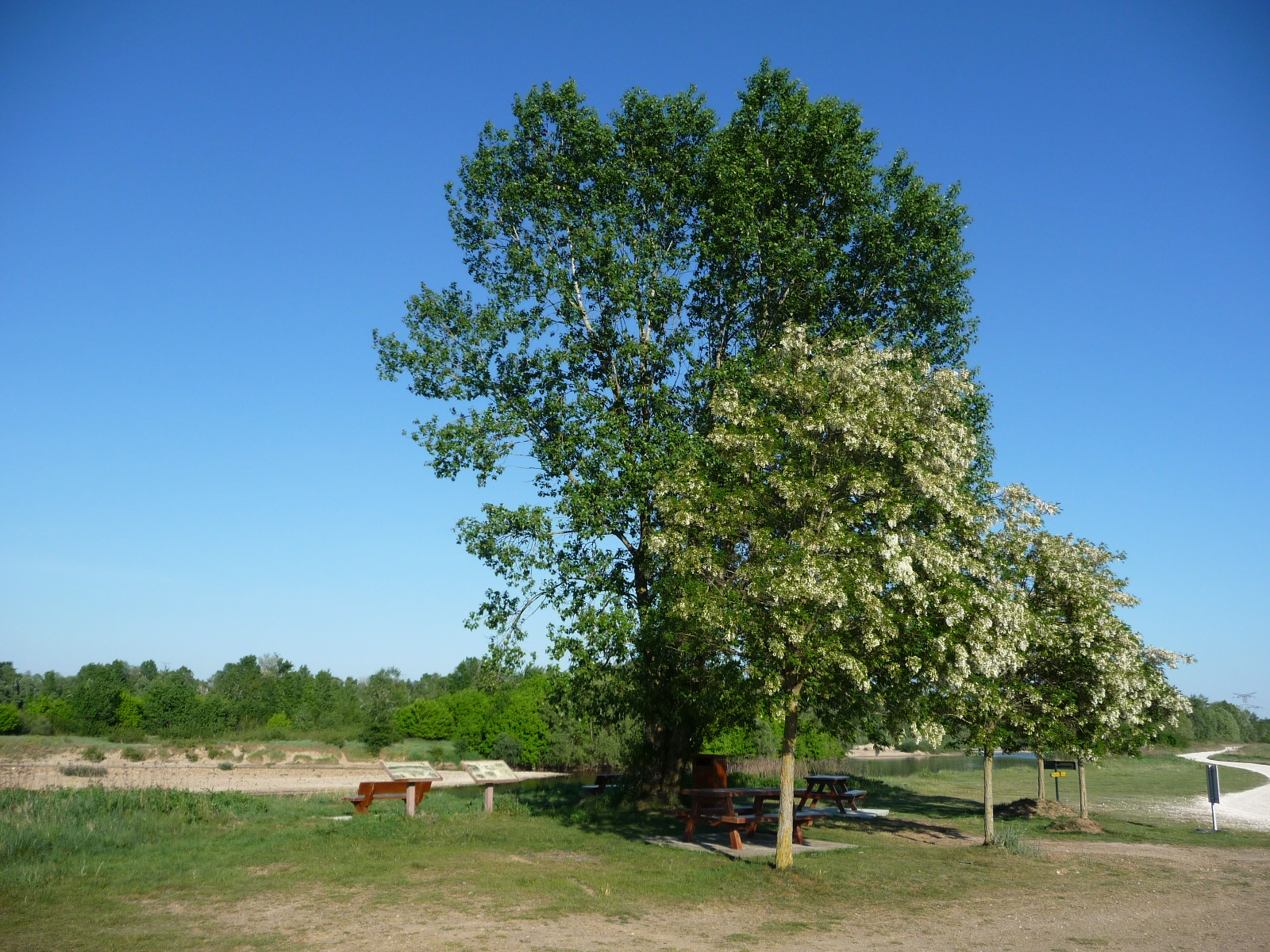 Aire de pique-nique de Maimbray