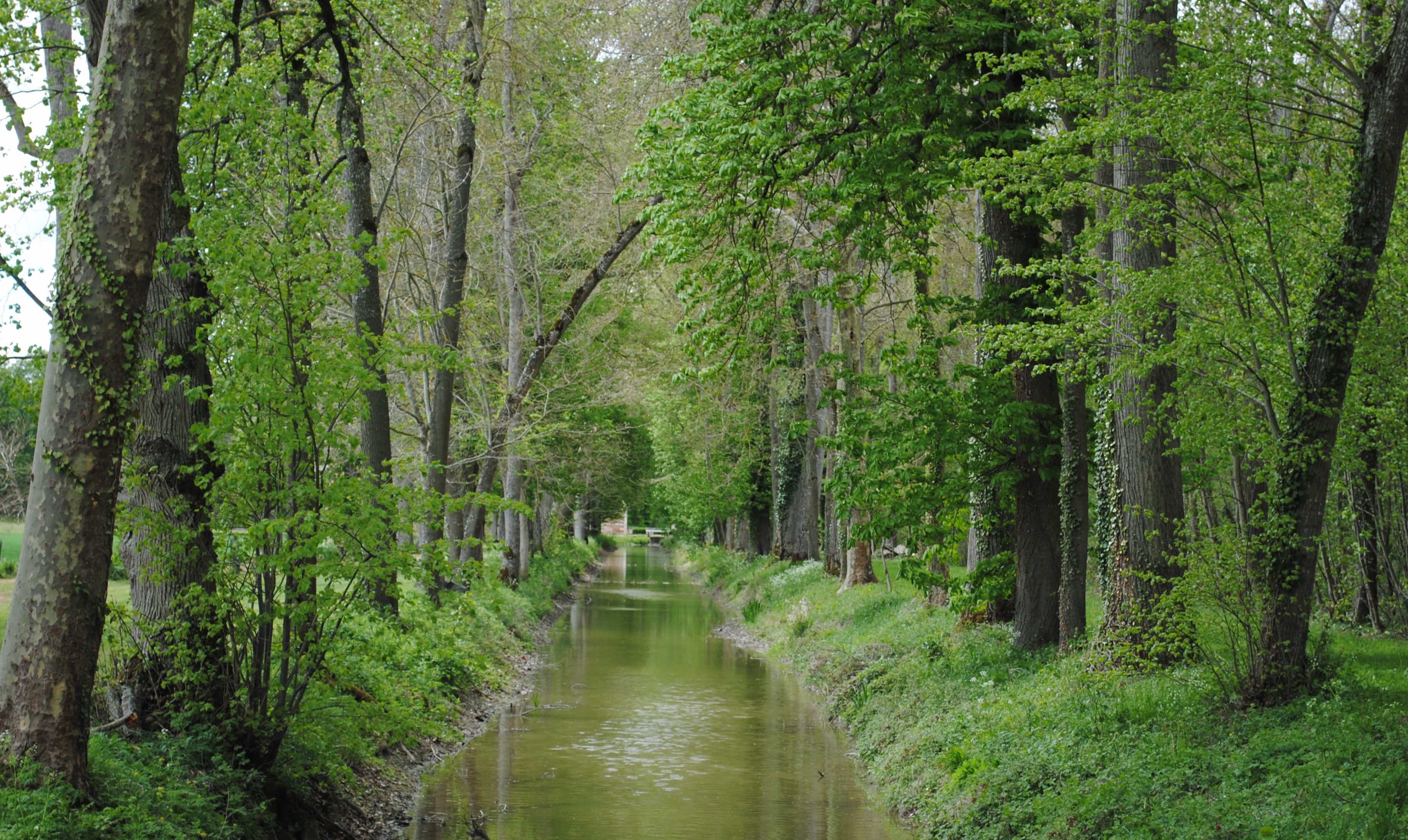 Jardin du château de Jussy, Jussy-Champagne - photo 3