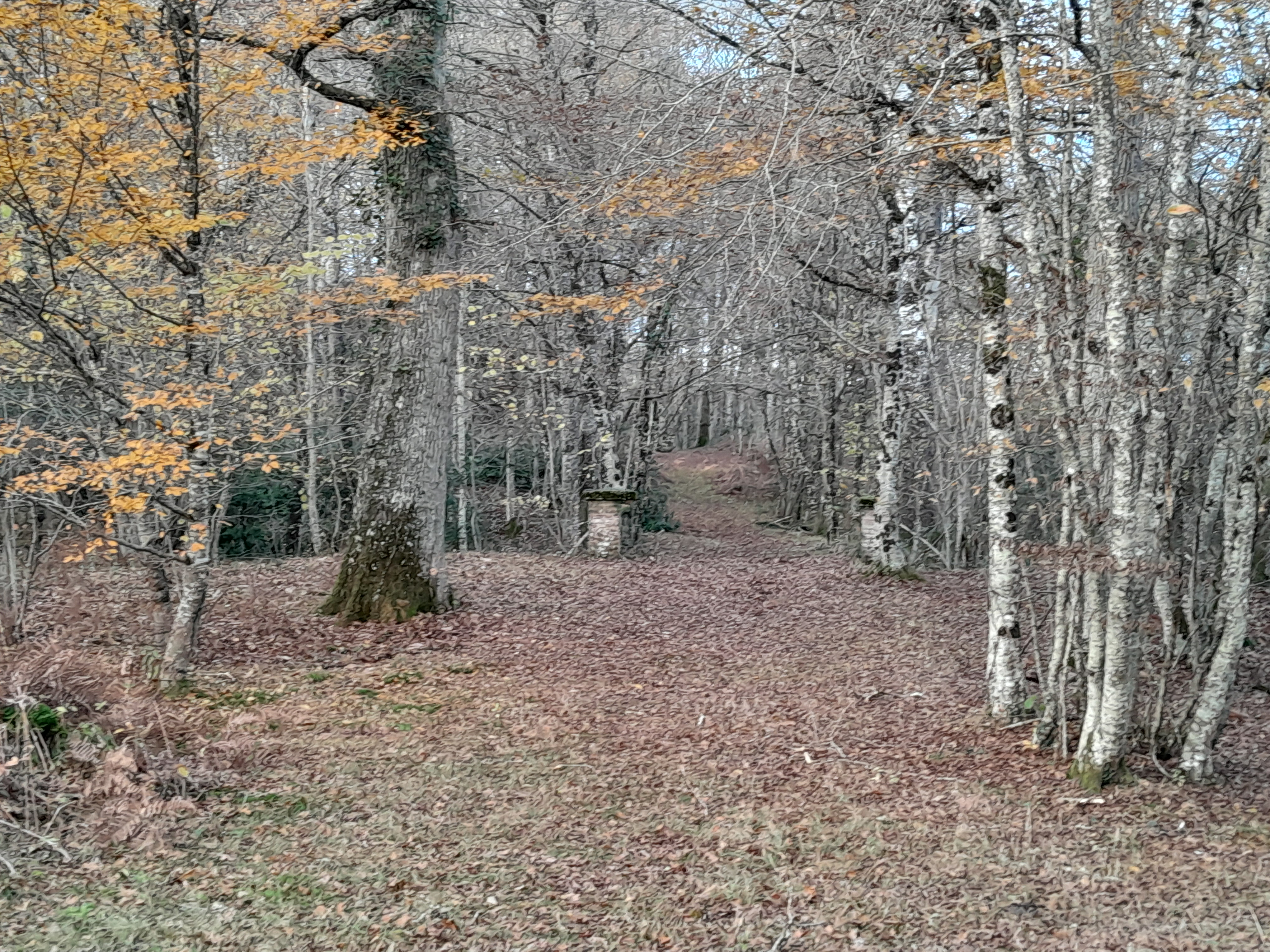 Château Chandler, Brinon-sur-Sauldre - photo 16