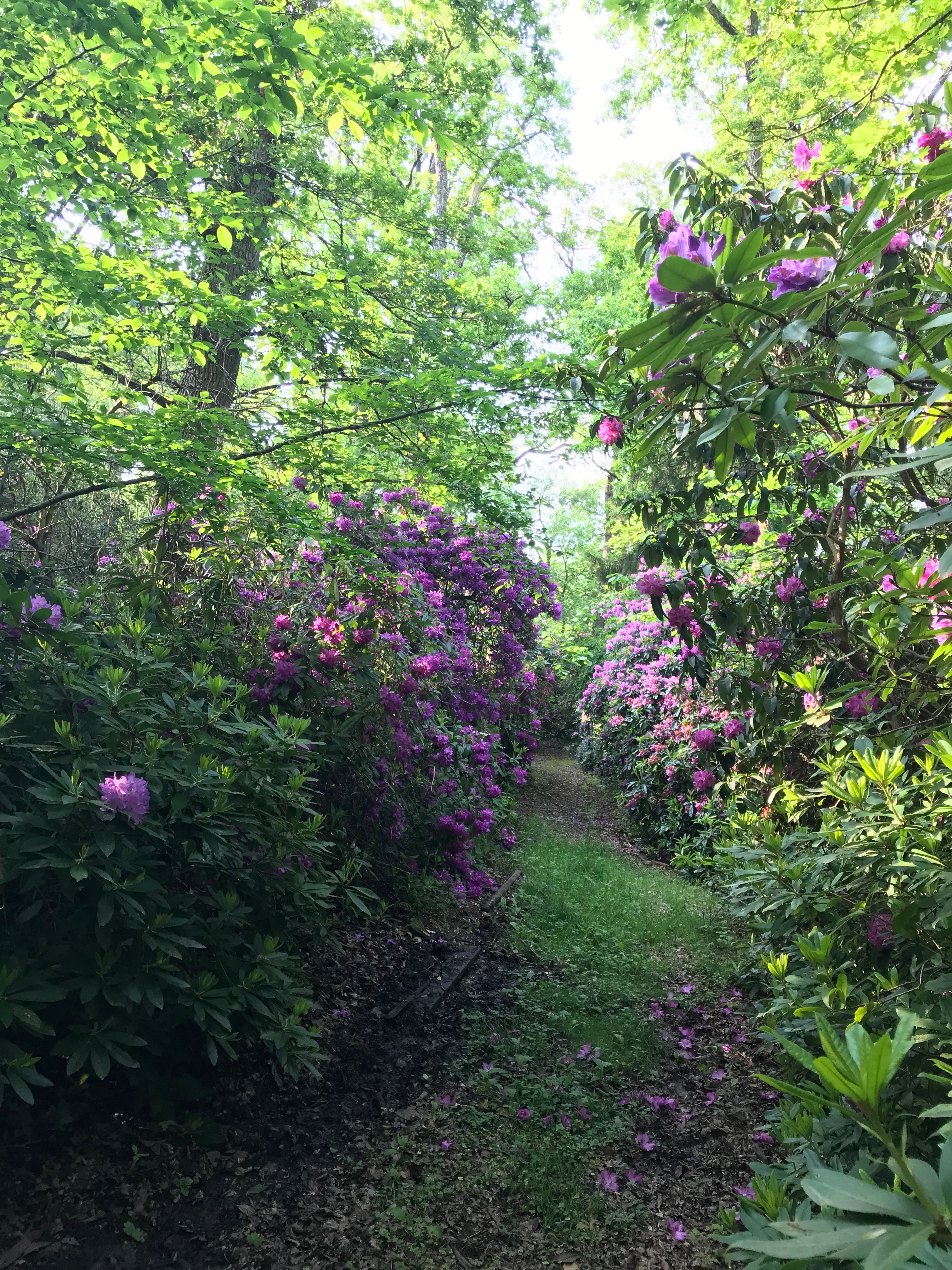 Château Chandler, Brinon-sur-Sauldre - photo 17