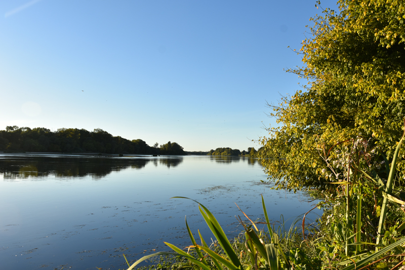 EV6 La Loire à Vélo - étape D02. Beaulieu-sur-Loire / Briare (par Ousson), Beaulieu-sur-Loire - photo 2