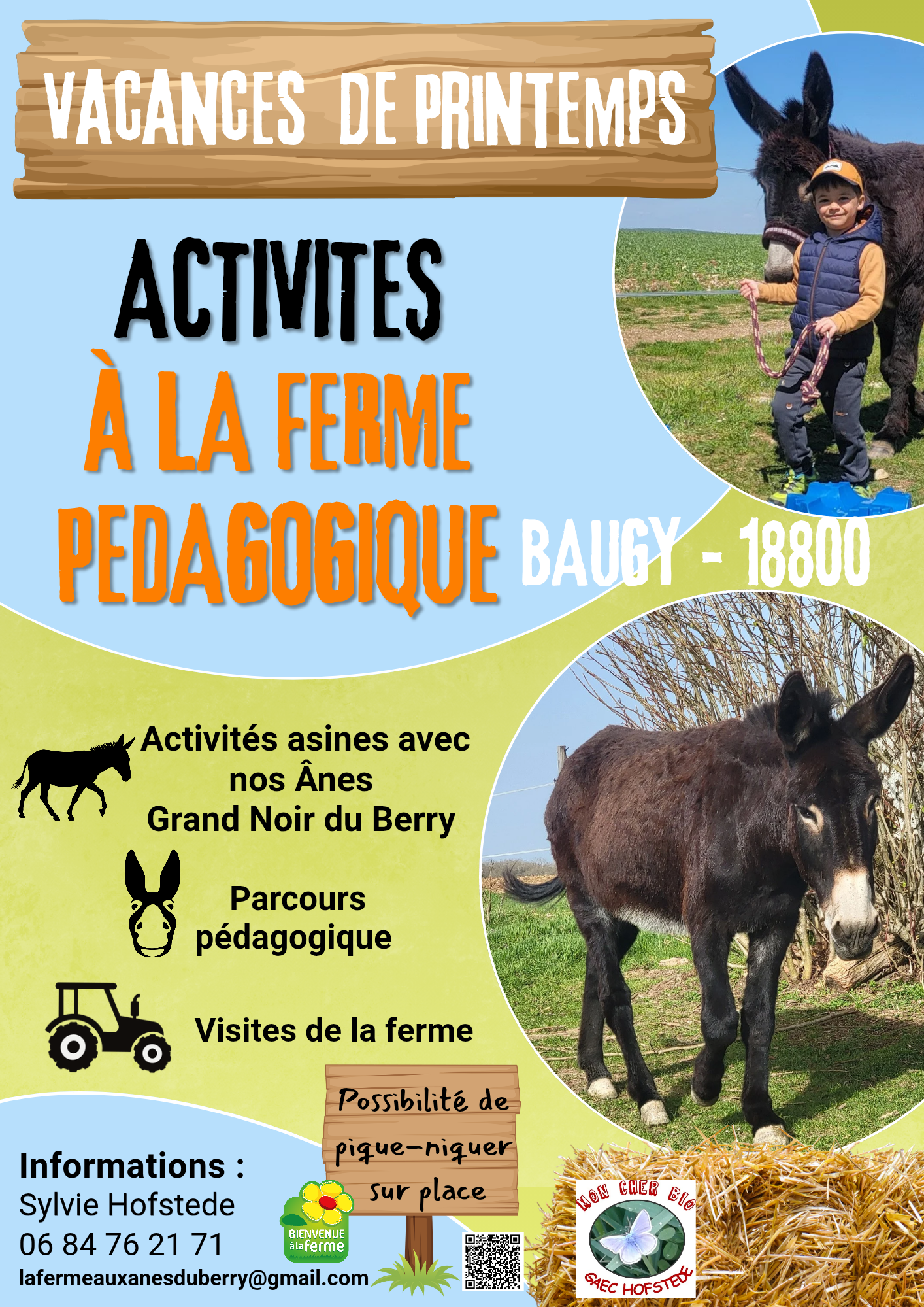 Mini Balade avec les Ânes — visuel événement