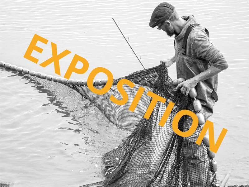 Exposition Antoine Nivet