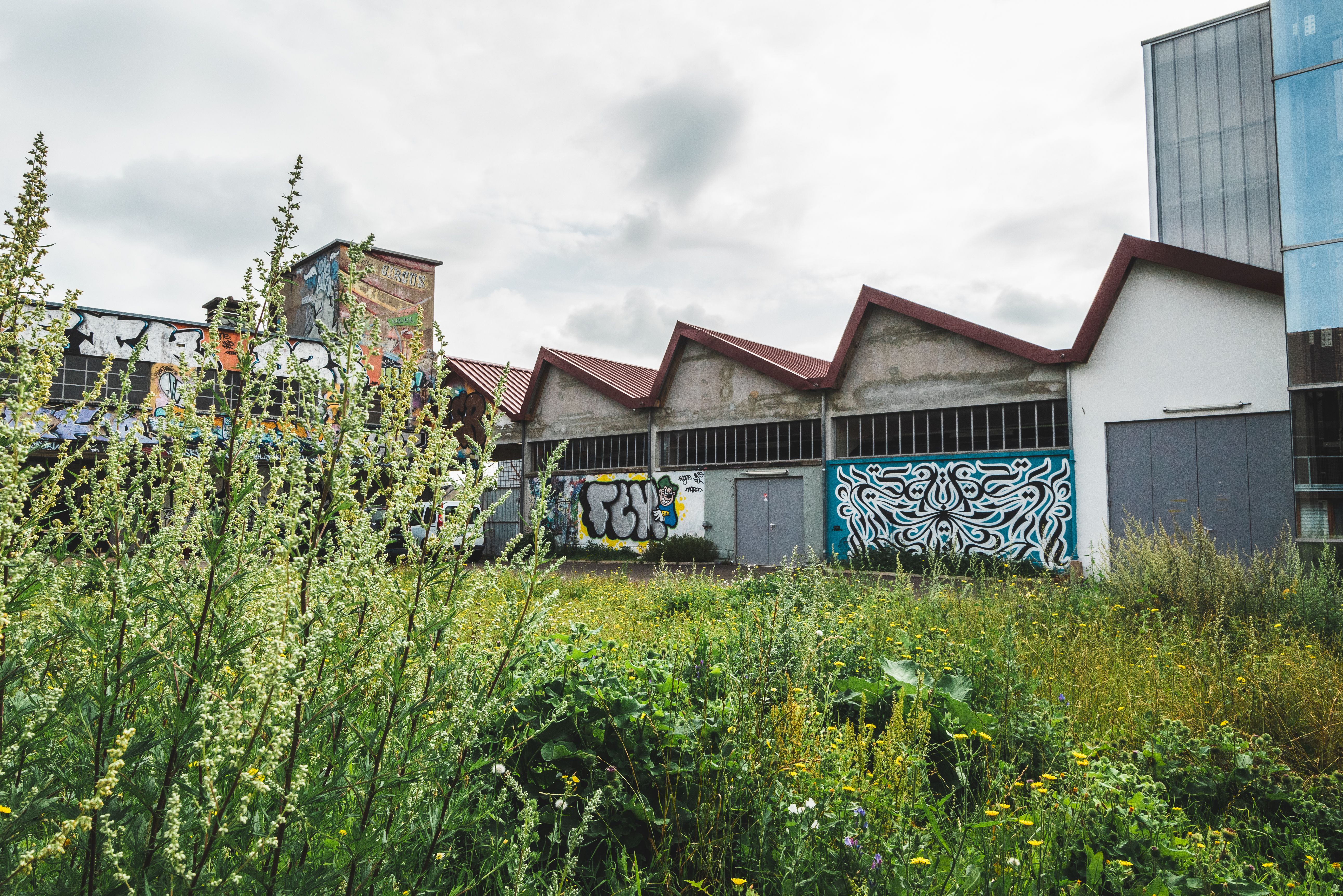 Friche culturelle Antre Peaux