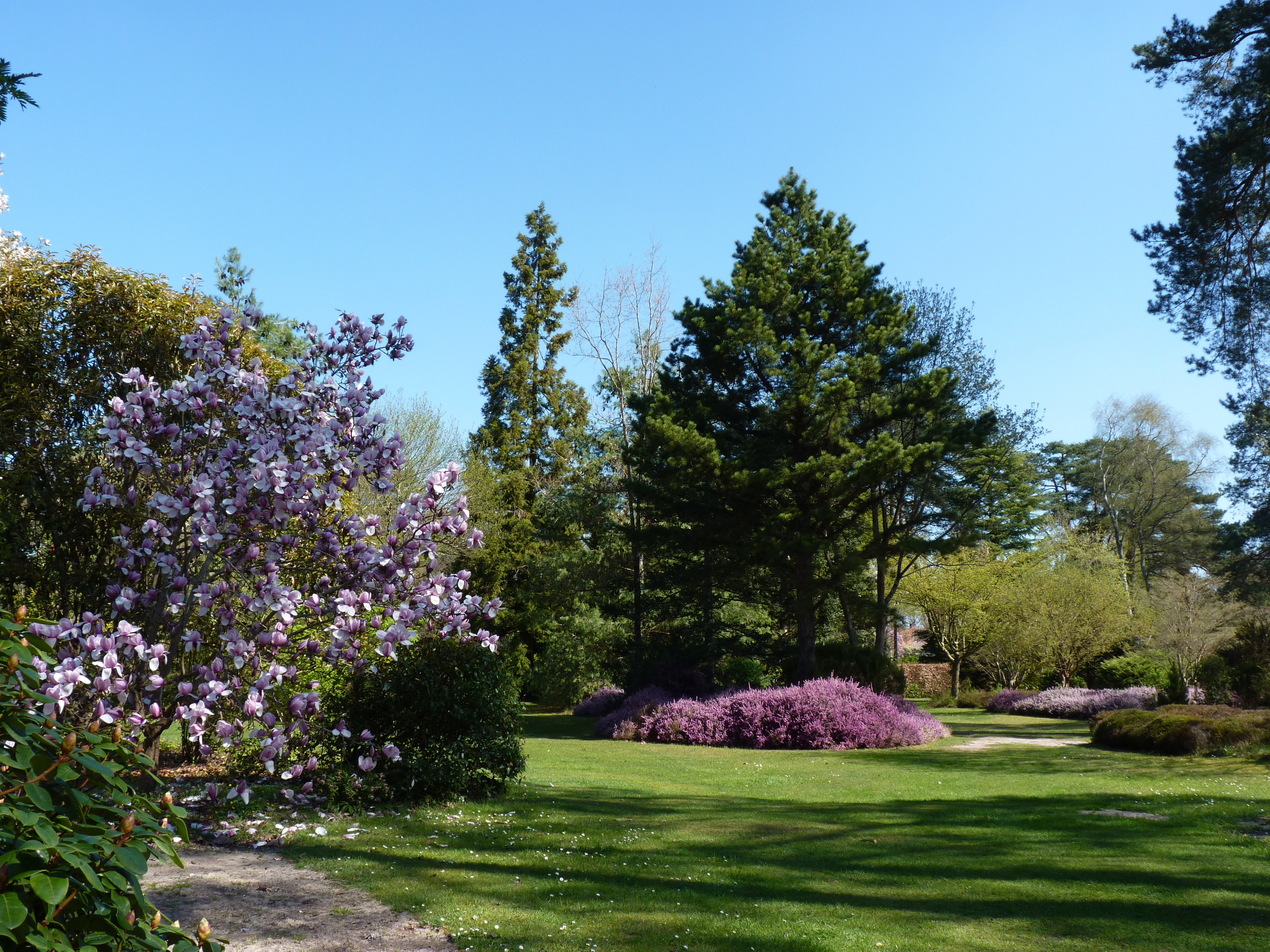 Arboretum des Grandes Bruyères, Ingrannes