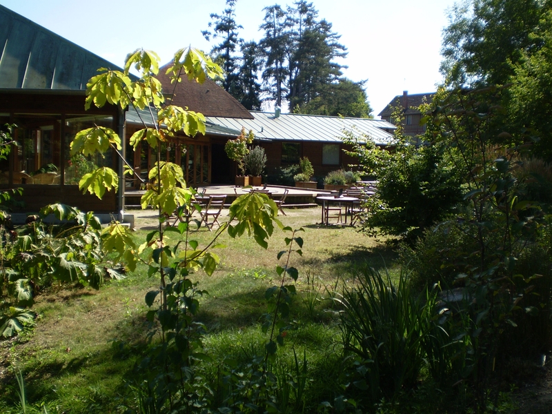 Arboretum National des Barres, Nogent-sur-Vernisson - photo 5