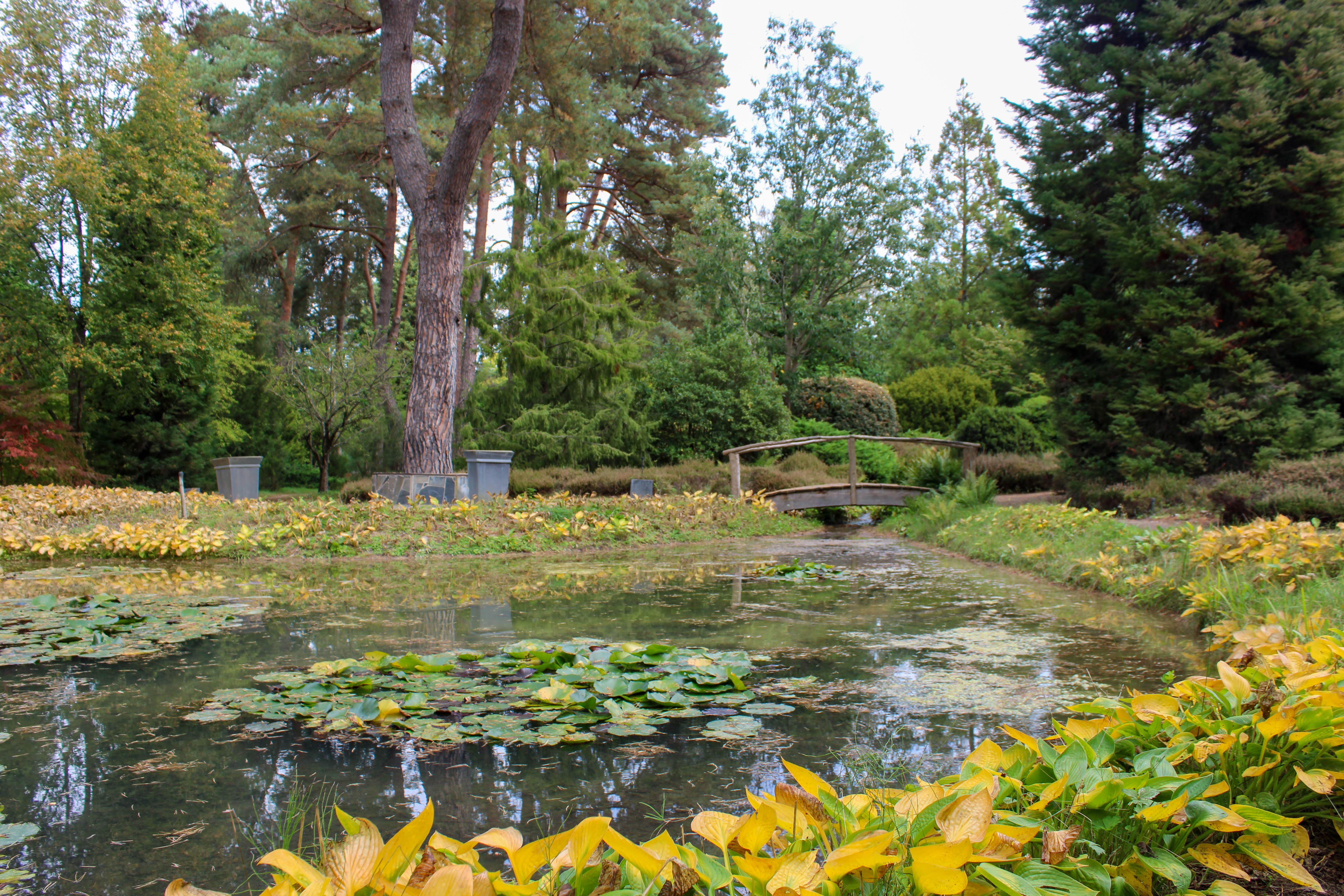 Boucle 07 - Entre canal et forêt, Ingrannes - photo 2