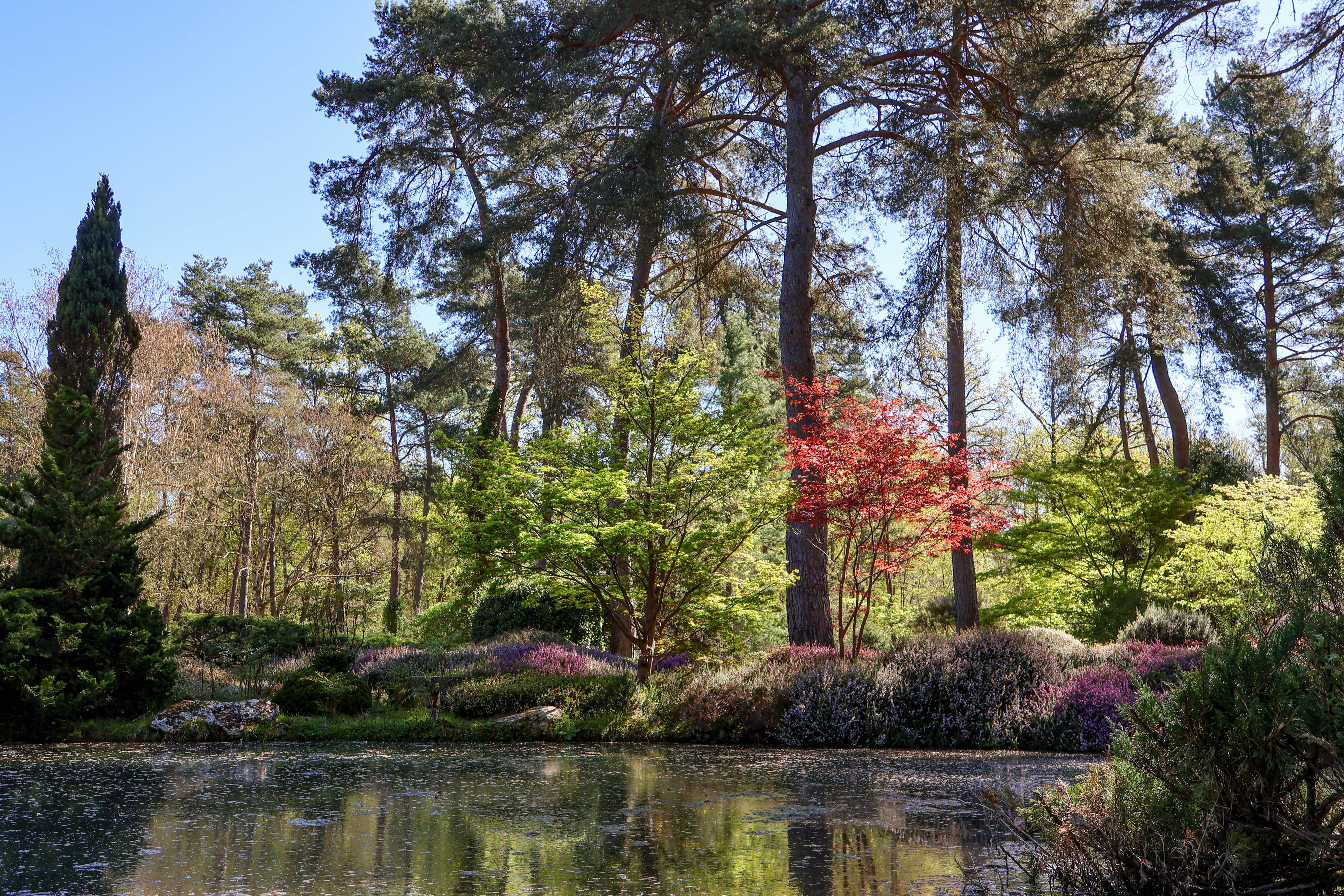 Circuit de l'Arboretum des Grandes Bruyères